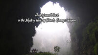 Underground Forests in the Mystery Holes of Chinas Guangxi Region
